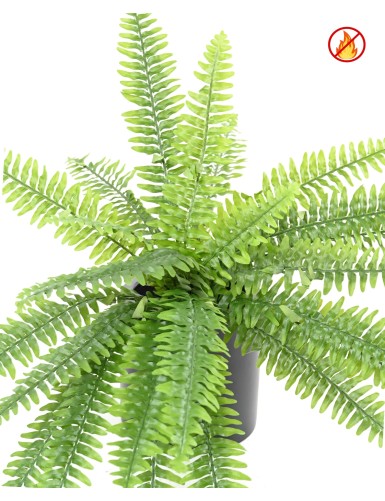 FERN BOSTON FR - Fire Resistant