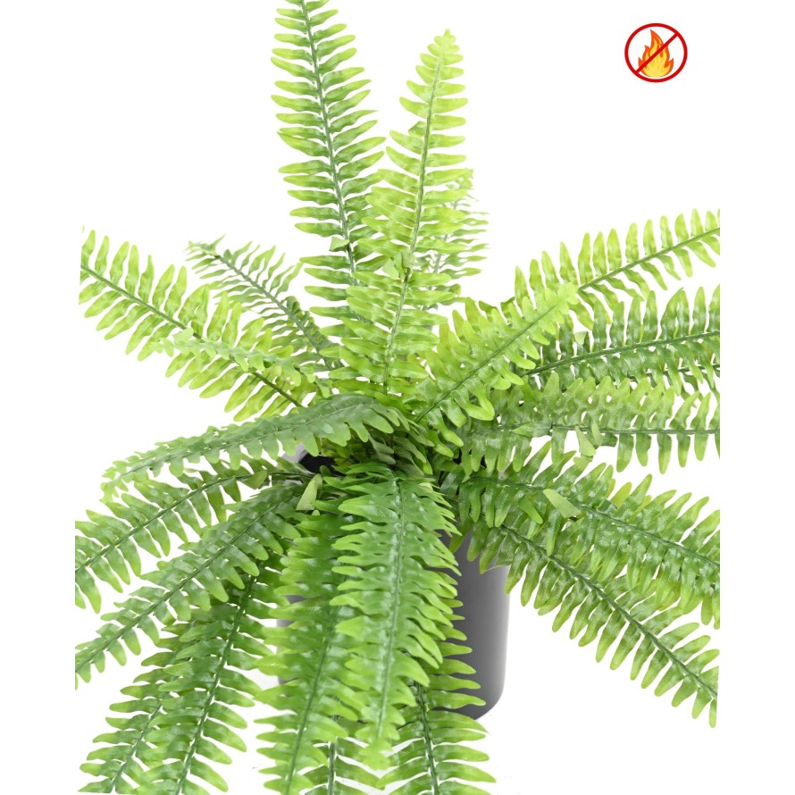 FERN BOSTON FR - Fire Resistant