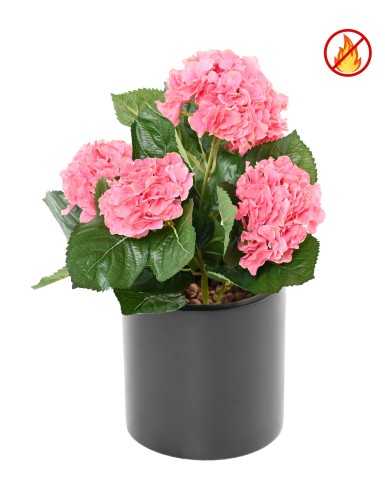 HORTENSIA FR - Fire Resistant