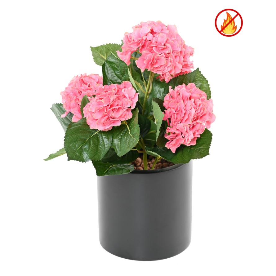 HORTENSIA FR - Fire Resistant