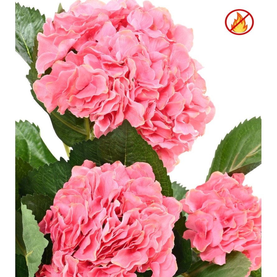 HORTENSIA FR - Fire Resistant