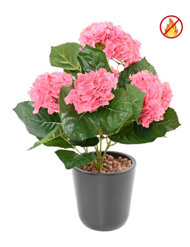 HORTENSIA FR - Fire Resistant