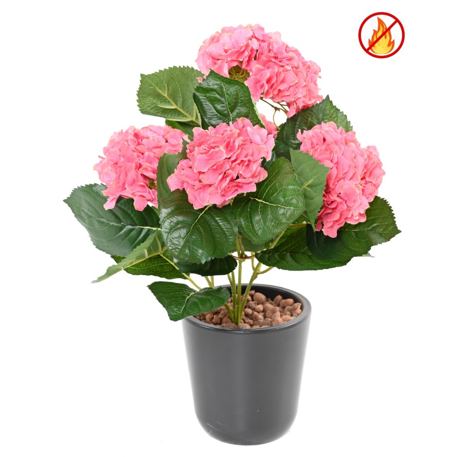 HORTENSIA FR - Fire Resistant