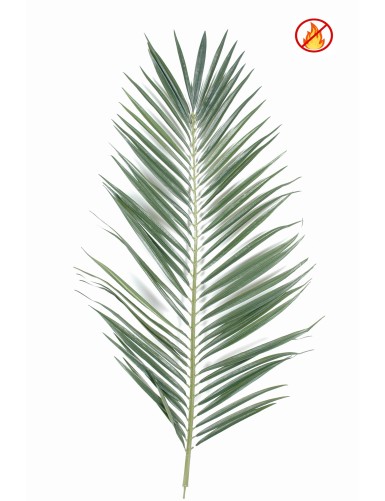 MAJESTY PALM PALM FR - Fire Resistant