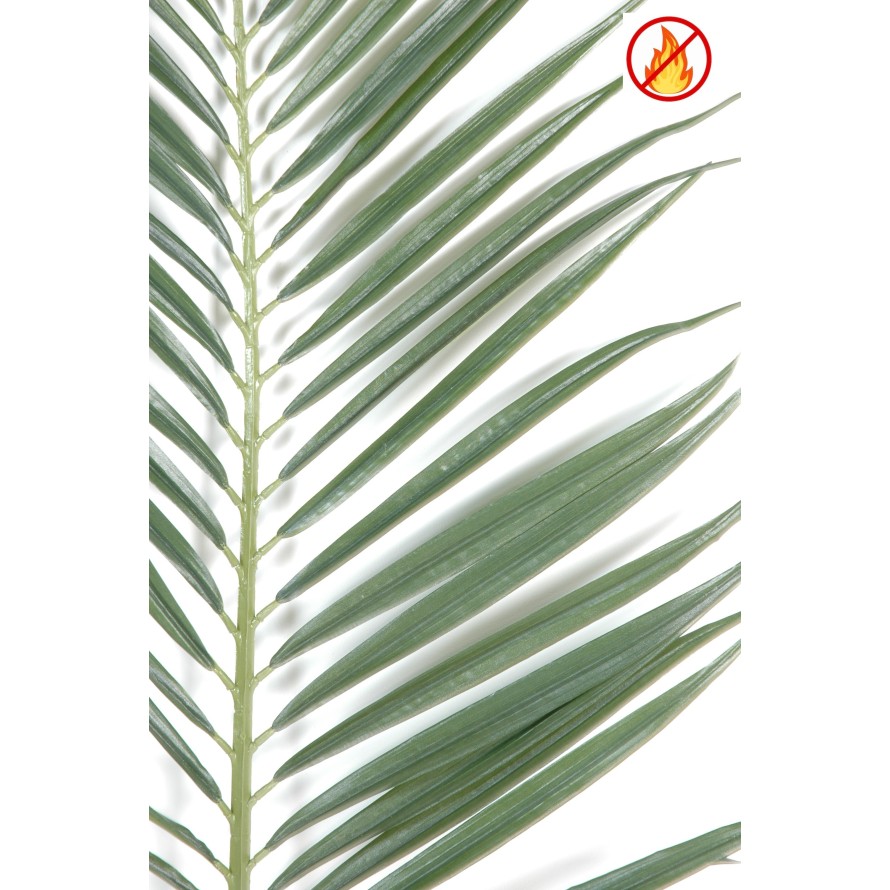 MAJESTY PALM PALM FR - Fire Resistant