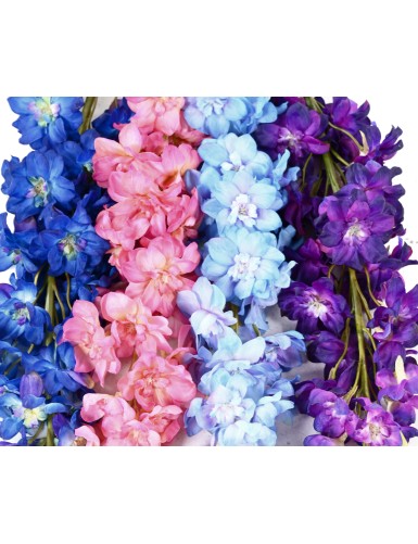 DELPHINIUM