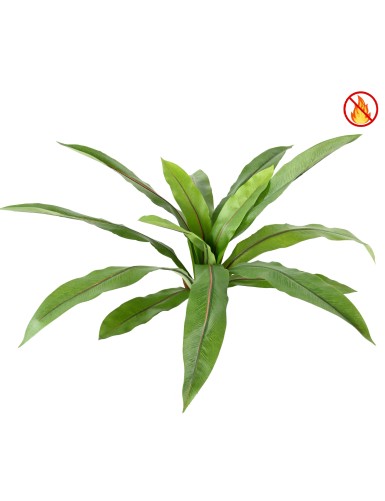 ASPLENIUM *15 FR - Fire Resistant