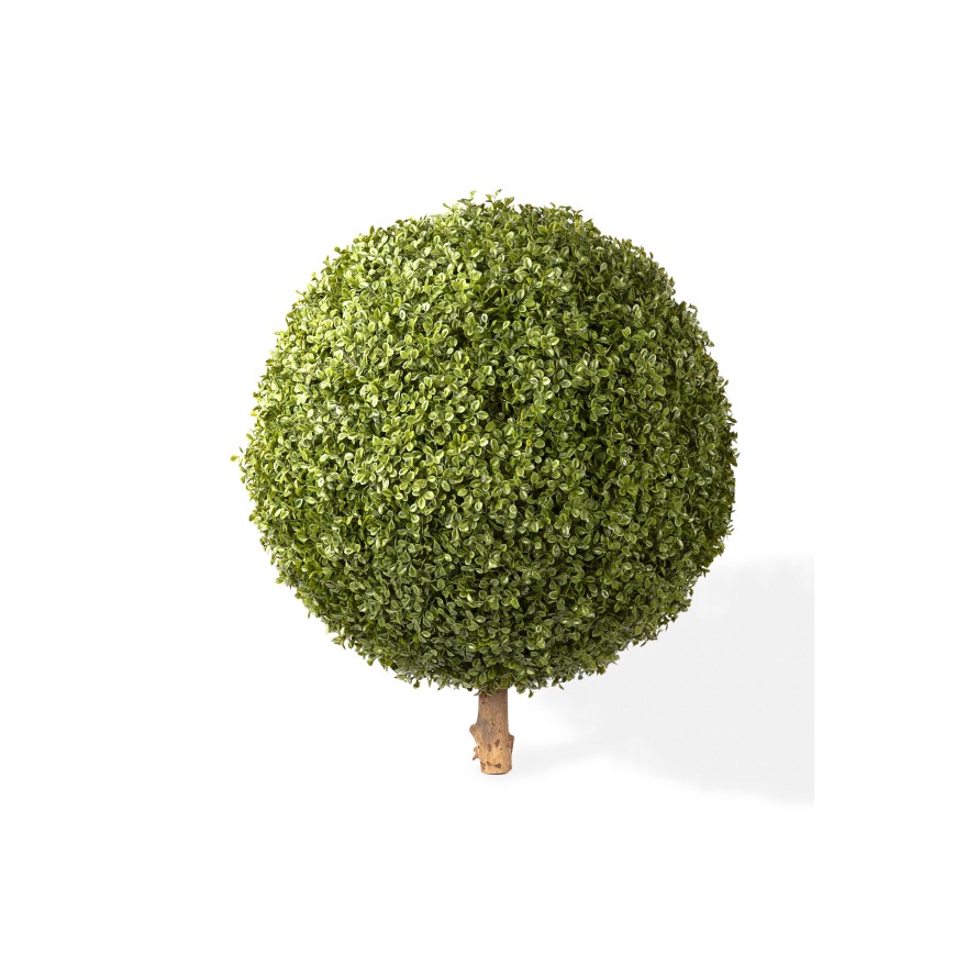 BOXWOOD BALL STK (net promo)