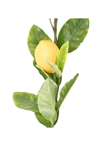 LEMON TREE GARLAND 180