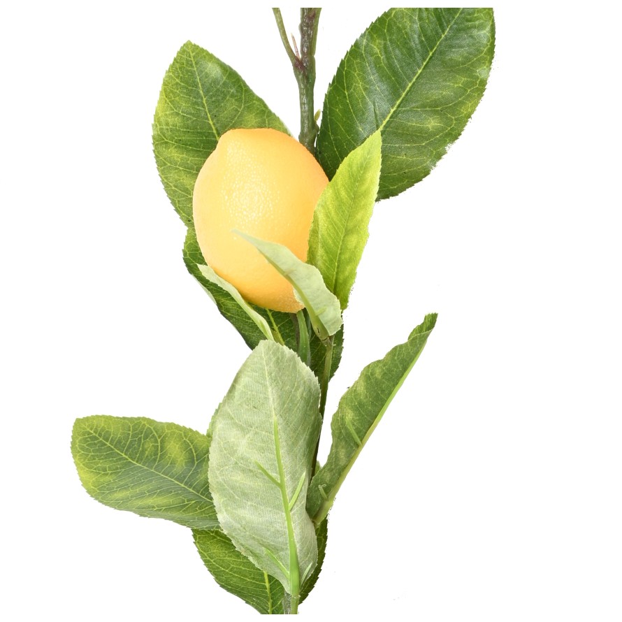 LEMON TREE GARLAND 180