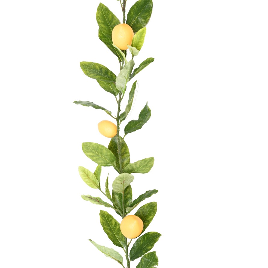 LEMON TREE GARLAND 180