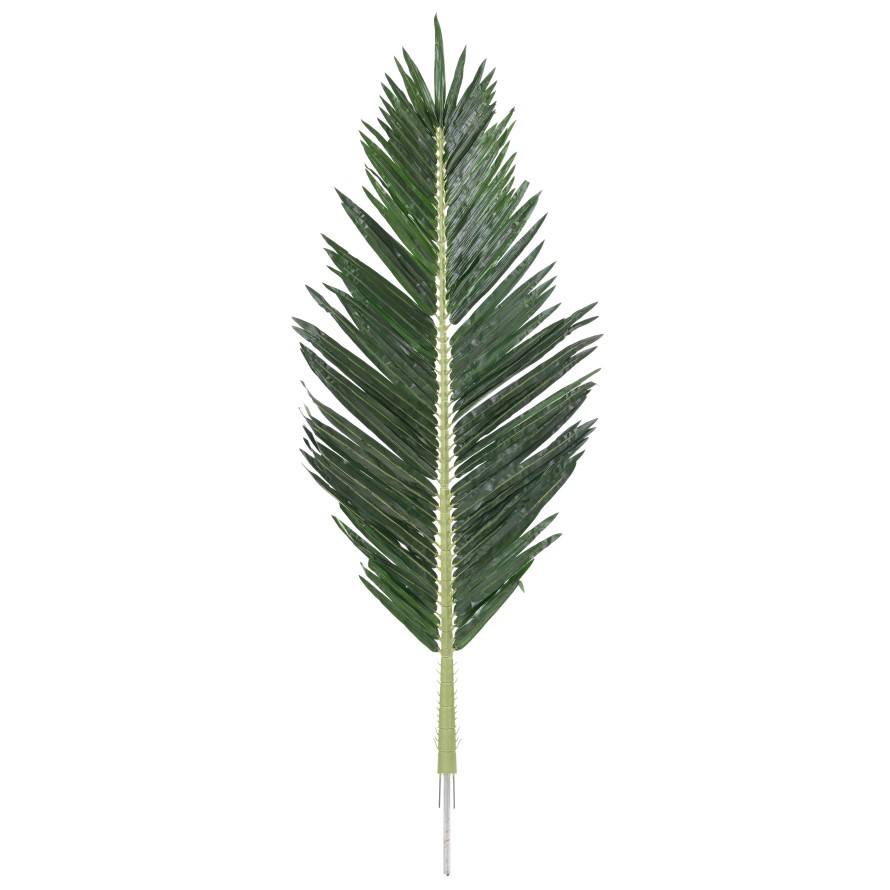 PALME PALMIER ROYAL 180