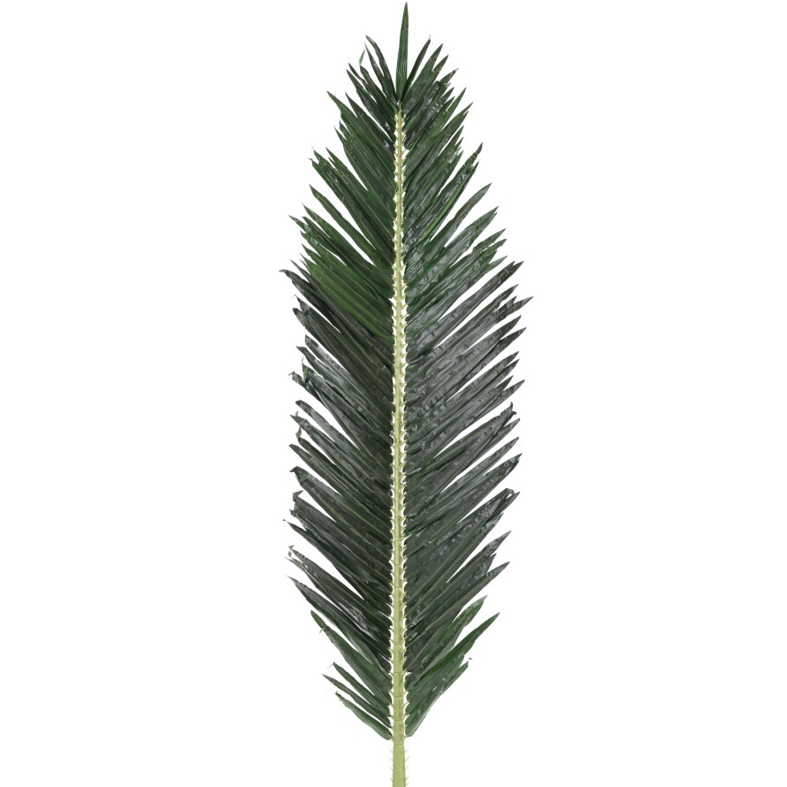 PALME PALMIER ROYAL 210