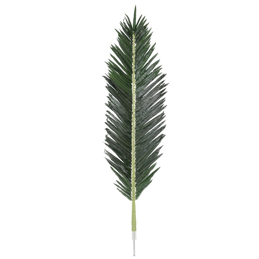 PALME PALMIER ROYAL 210