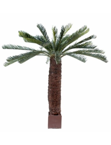 CYCAS GEANT