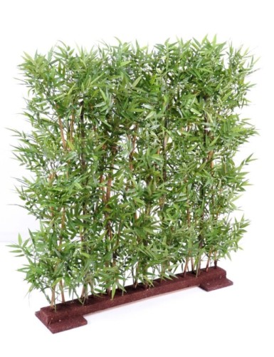 BAMBOO DENSE HEDGE ORIENTAL