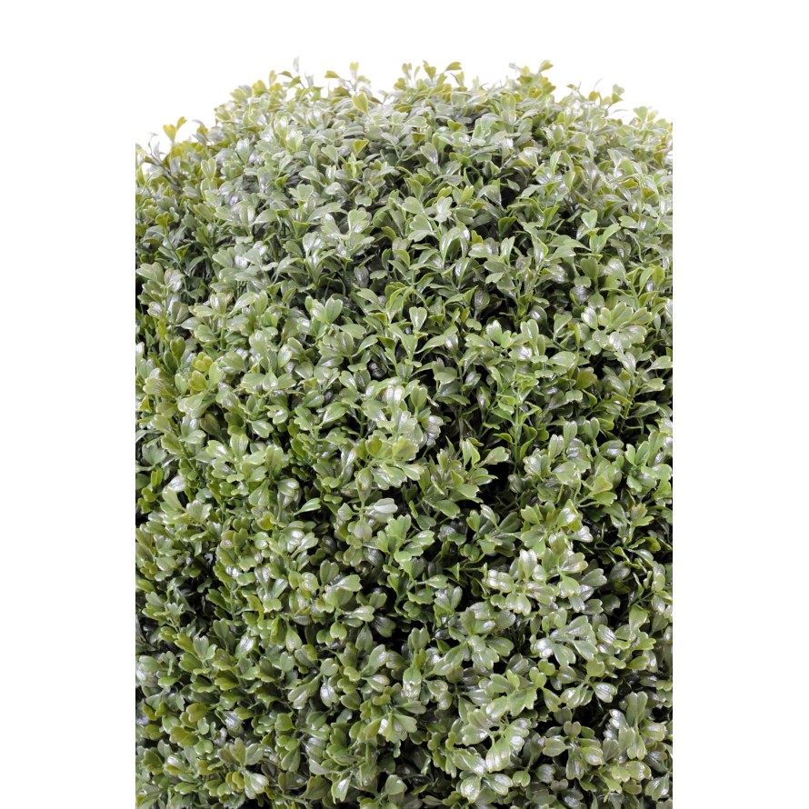 BOXWOOD BALL REGULAR NEW