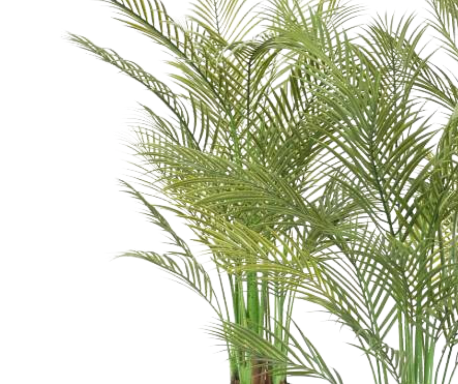 Palmiers, musacées et tropiques artificiels
