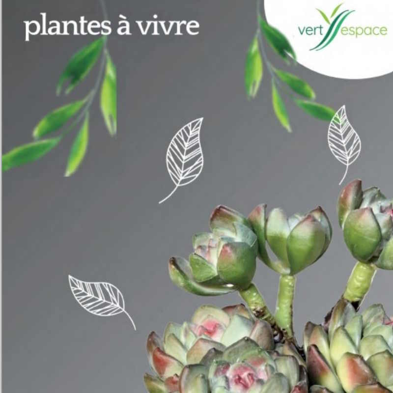 News from Vert Espace